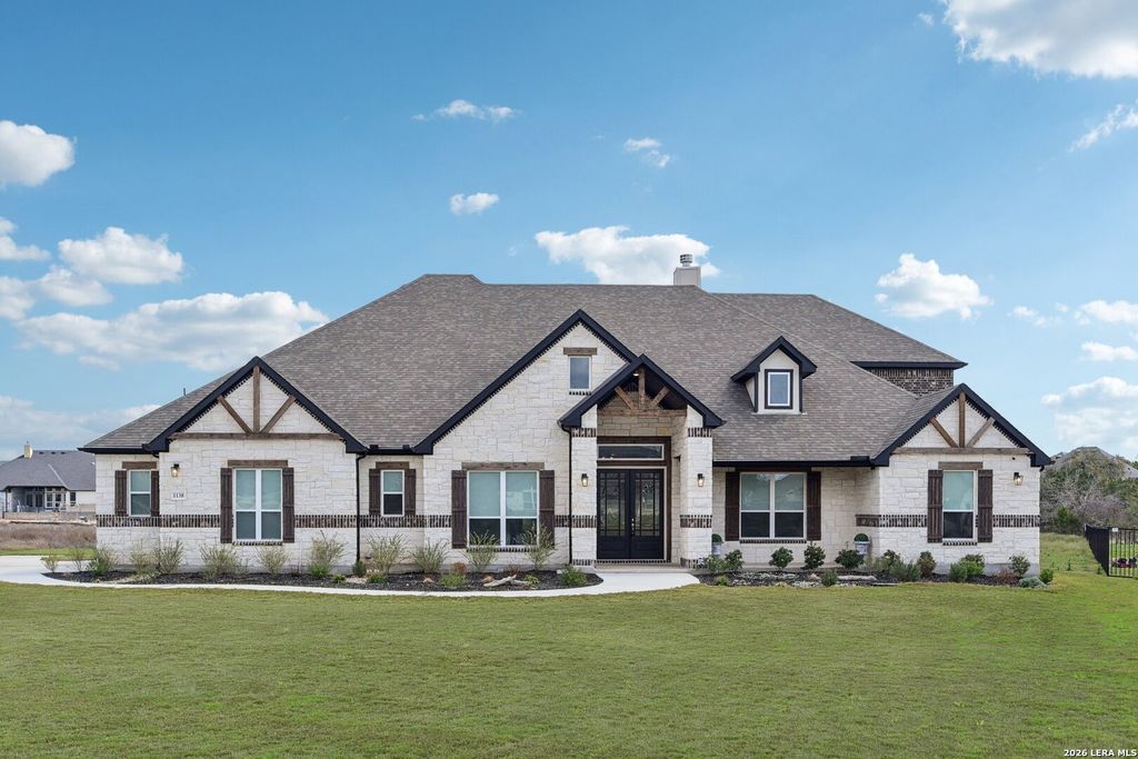 1138 Cape May Warbler, New Braunfels, TX 78132