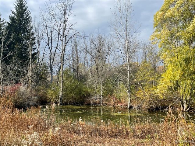 6721 Aiken Road, Pendleton, NY 14094