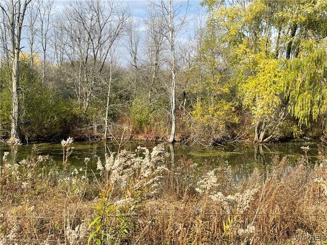 6721 Aiken Road, Pendleton, NY 14094