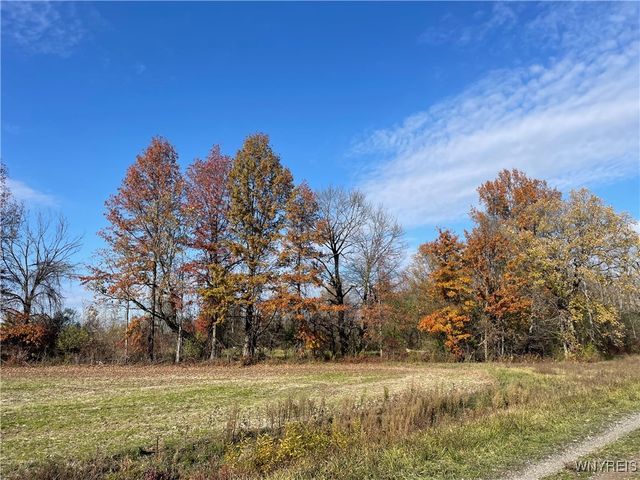 6721 Aiken Road, Pendleton, NY 14094