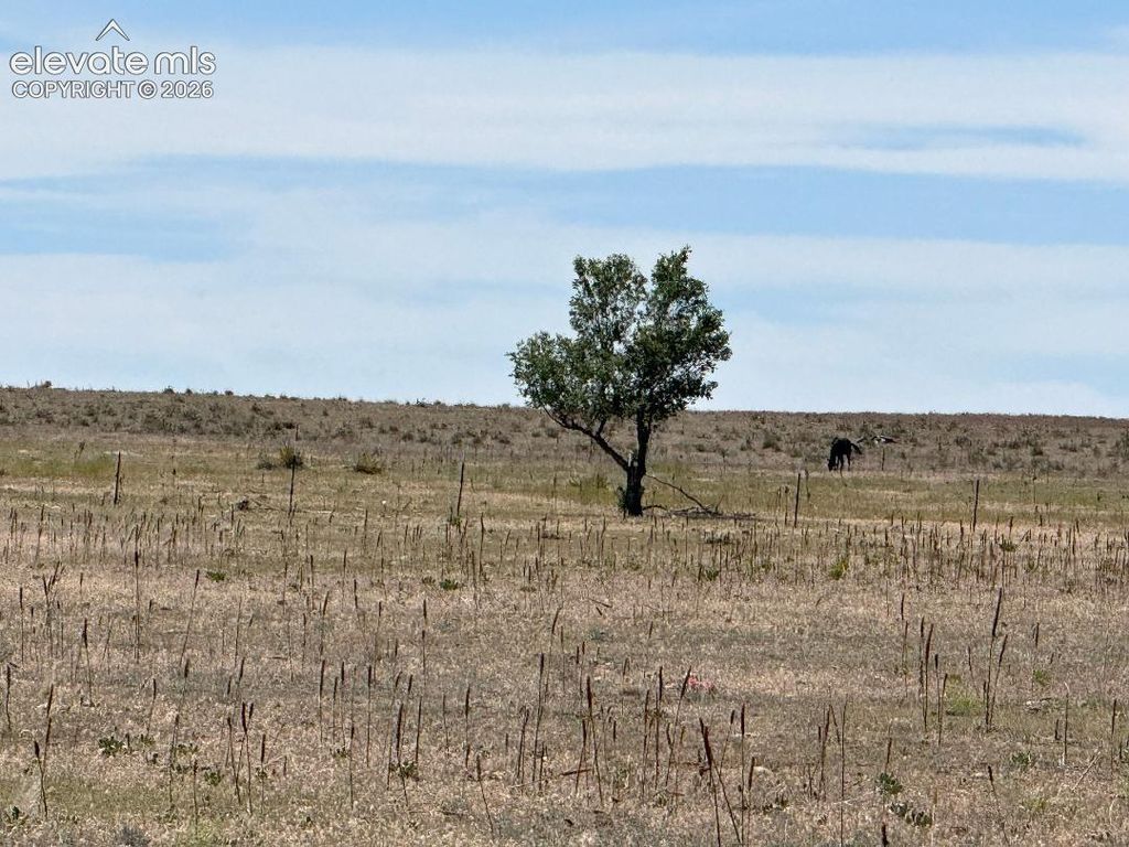 40495 Hoot Owl Road, Ramah, CO 80832 — photo 2