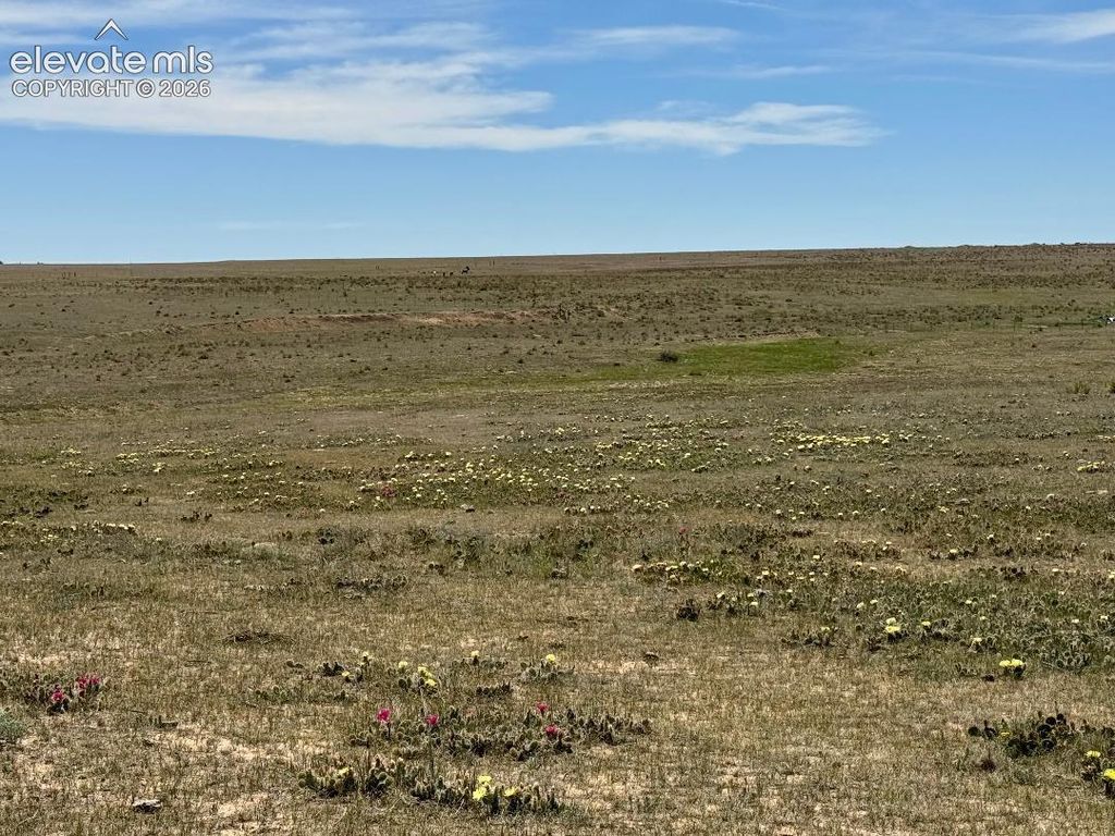 40495 Hoot Owl Road, Ramah, CO 80832 — photo 5