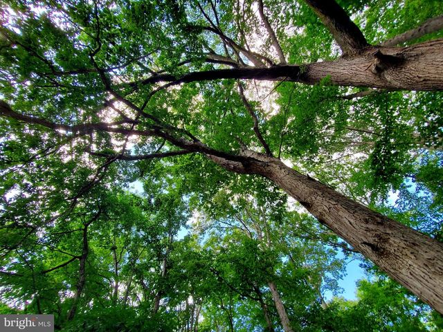 133 MEETINGHOUSE LN, Dover, DE 19904