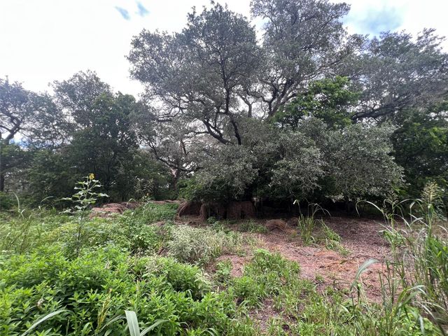 0000 Langdon Road And Fm 1579, Schulenburg, TX 78956