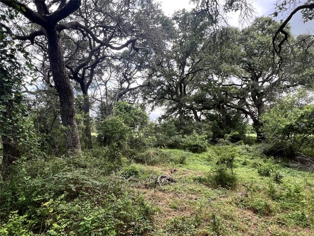 0000 Langdon Road And Fm 1579, Schulenburg, TX 78956