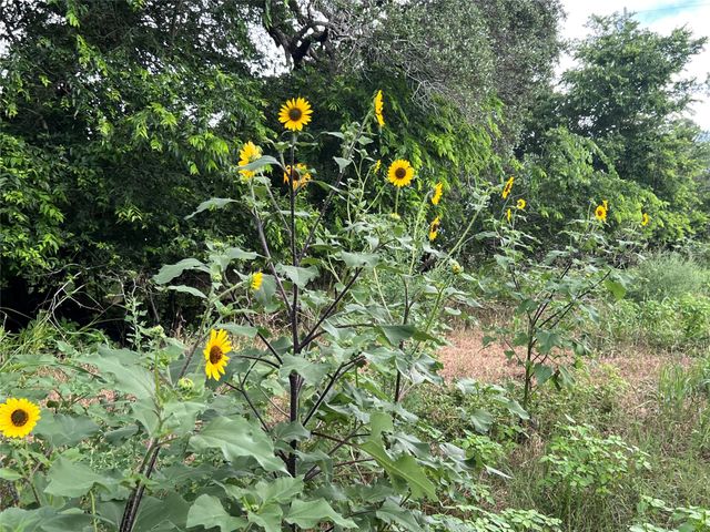 0000 Langdon Road And Fm 1579, Schulenburg, TX 78956