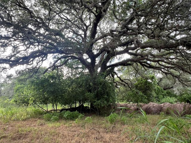 0000 Langdon Road And Fm 1579, Schulenburg, TX 78956