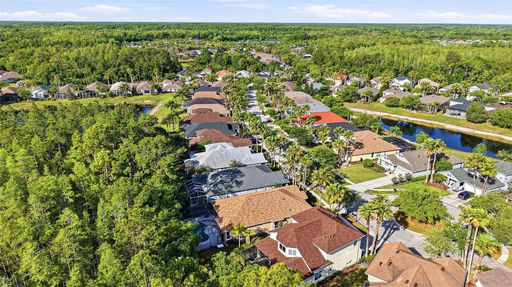 Image 79 of property listing at 8123 CAMELLA LANE, Tampa, FL 33647