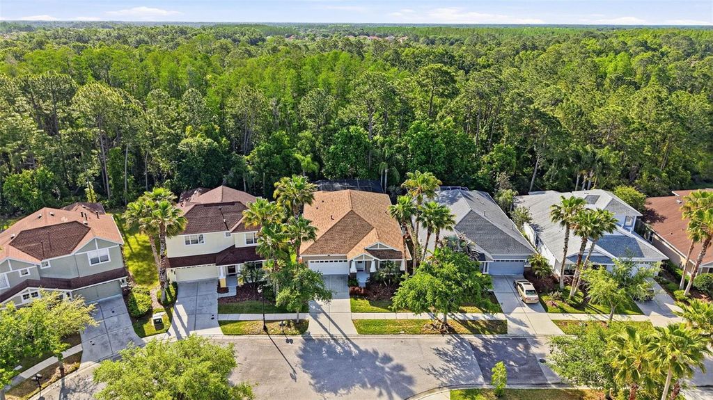 Image 81 of property listing at 8123 CAMELLA LANE, Tampa, FL 33647