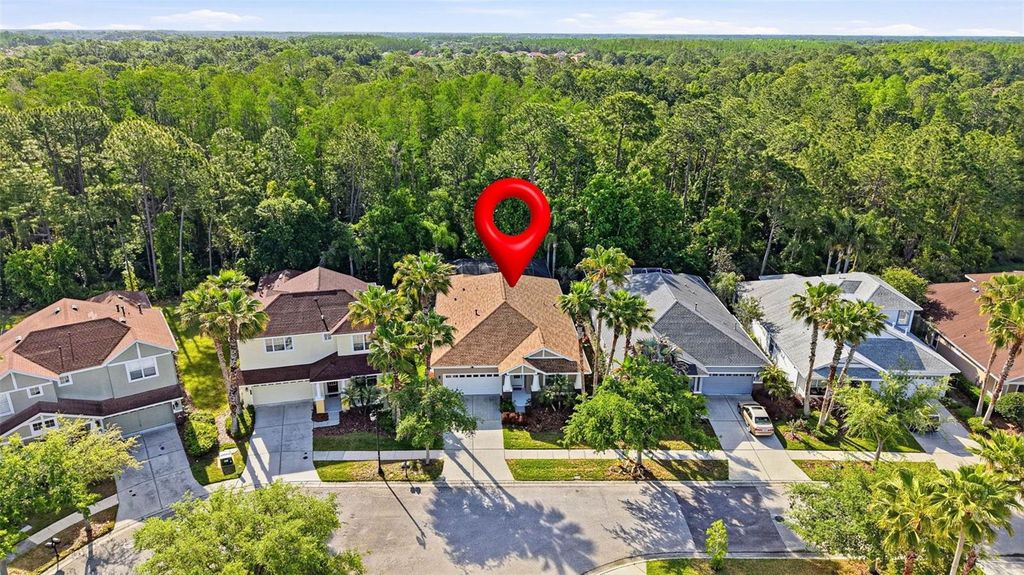 Image 82 of property listing at 8123 CAMELLA LANE, Tampa, FL 33647