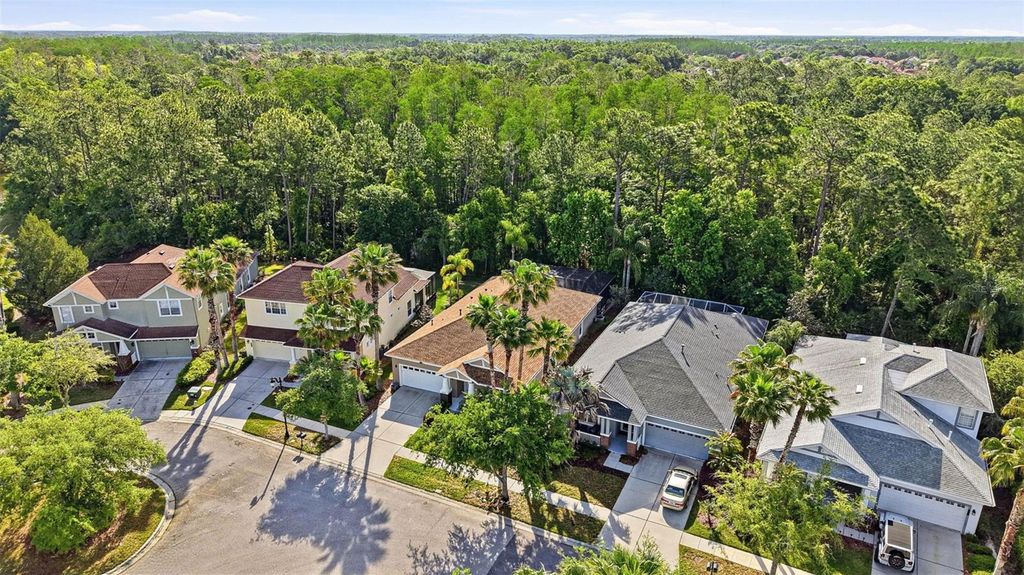 Image 83 of property listing at 8123 CAMELLA LANE, Tampa, FL 33647