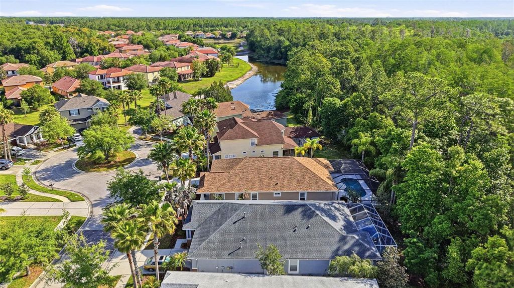 Image 85 of property listing at 8123 CAMELLA LANE, Tampa, FL 33647