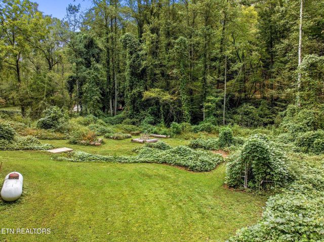 121 Towee Mountain Road, Reliance, TN 37369