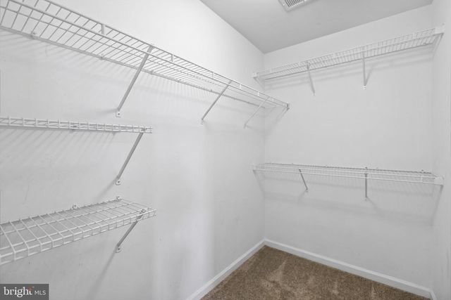 14008 CANNONDALE WAY, Gainesville, VA 20155
