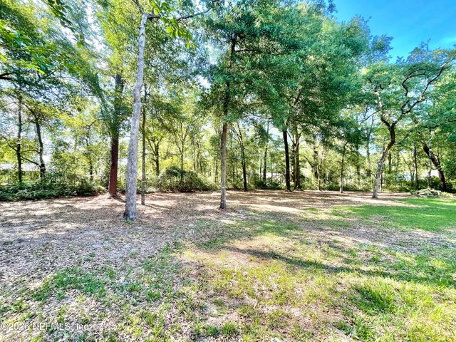 4583 ALLIGATOR Boulevard, Middleburg, FL 32068