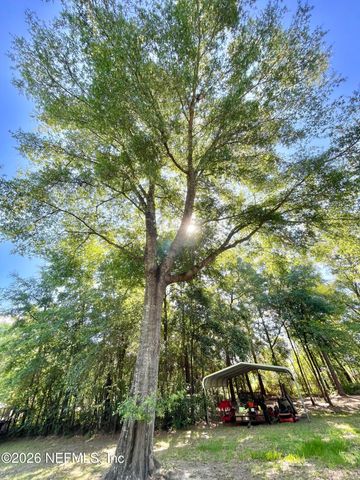 4583 ALLIGATOR Boulevard, Middleburg, FL 32068