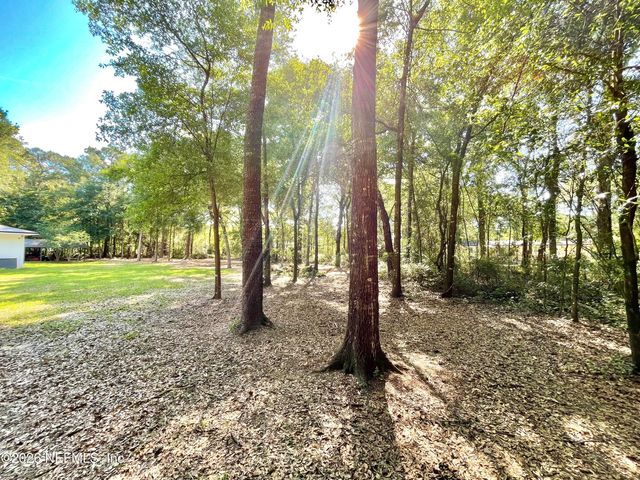 4583 ALLIGATOR Boulevard, Middleburg, FL 32068