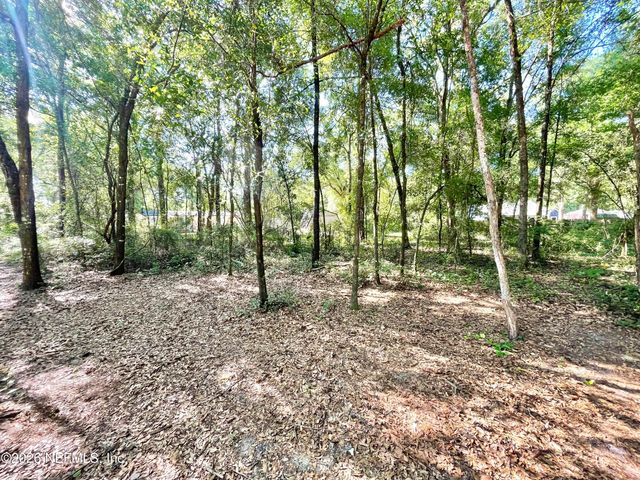 4583 ALLIGATOR Boulevard, Middleburg, FL 32068