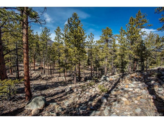 21160 Skyline Dr, Nathrop, CO 81236