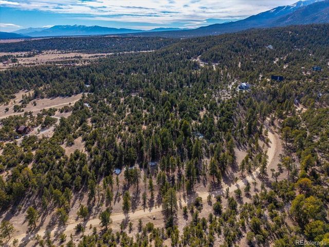 21160 Skyline Dr, Nathrop, CO 81236