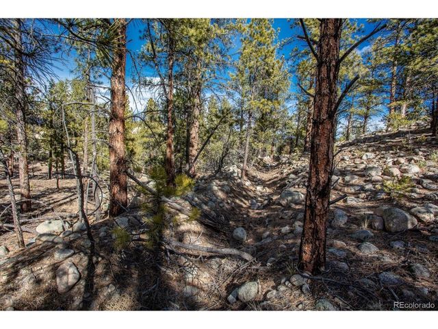 21160 Skyline Dr, Nathrop, CO 81236
