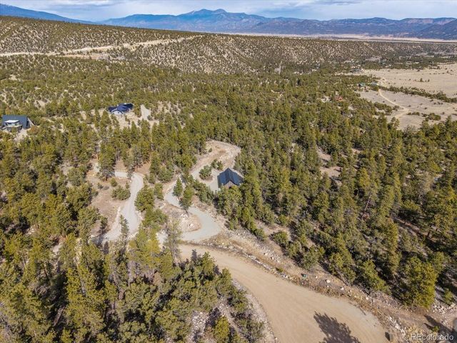 21160 Skyline Dr, Nathrop, CO 81236