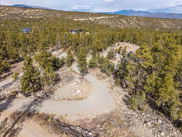 21160 Skyline Dr, Nathrop, CO 81236