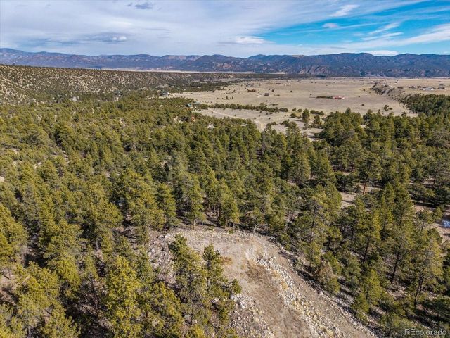 21160 Skyline Dr, Nathrop, CO 81236