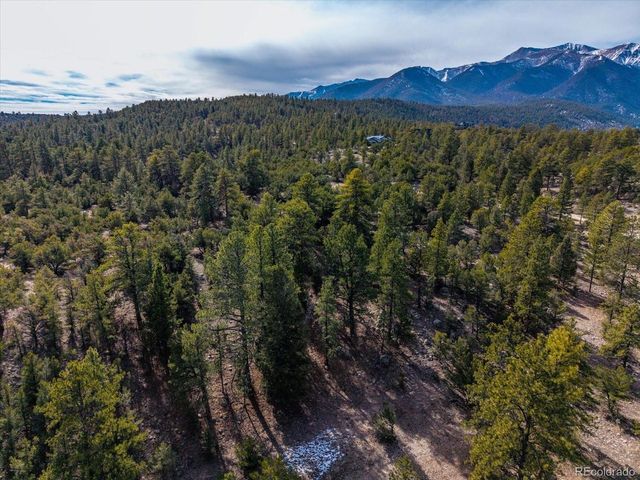 21160 Skyline Dr, Nathrop, CO 81236