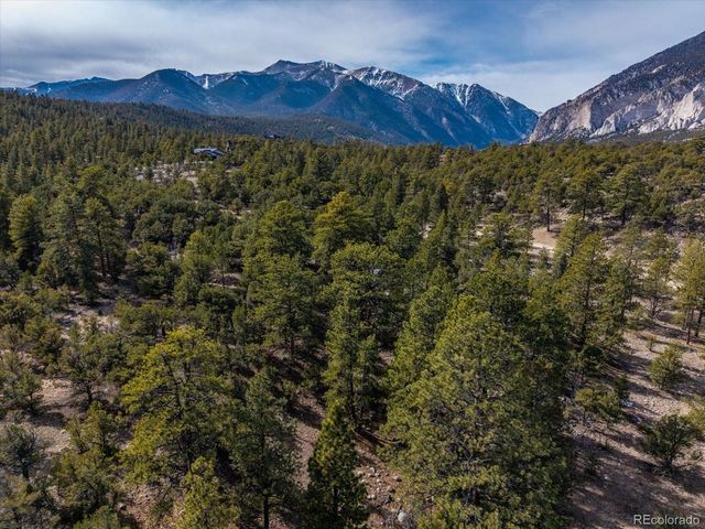 21160 Skyline Dr, Nathrop, CO 81236
