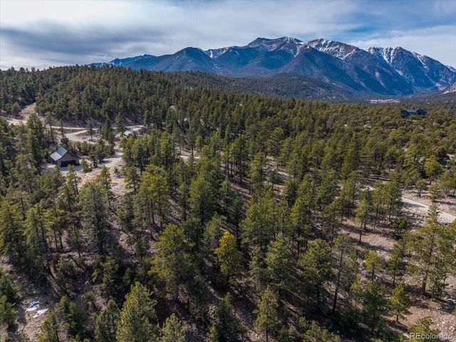 21160 Skyline Dr, Nathrop, CO 81236