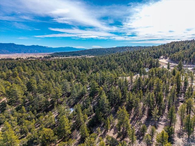 21160 Skyline Dr, Nathrop, CO 81236