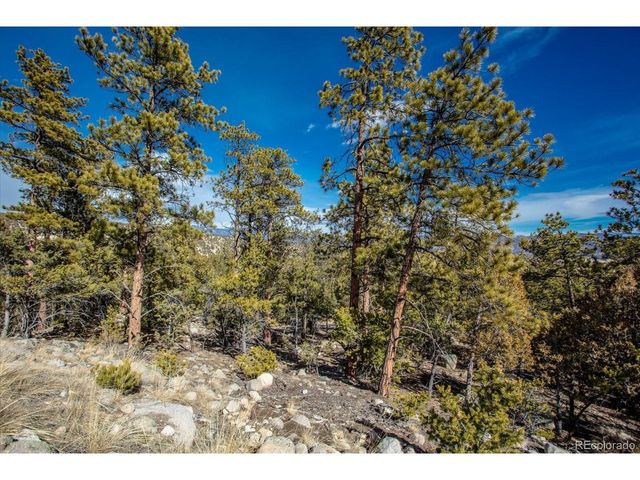 21160 Skyline Dr, Nathrop, CO 81236