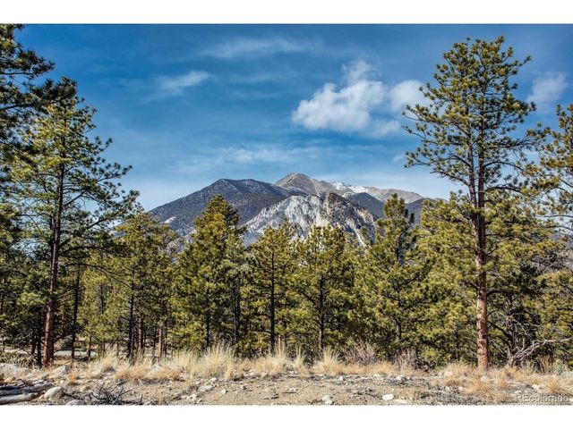 21160 Skyline Dr, Nathrop, CO 81236