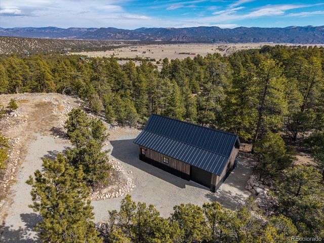 21160 Skyline Dr, Nathrop, CO 81236