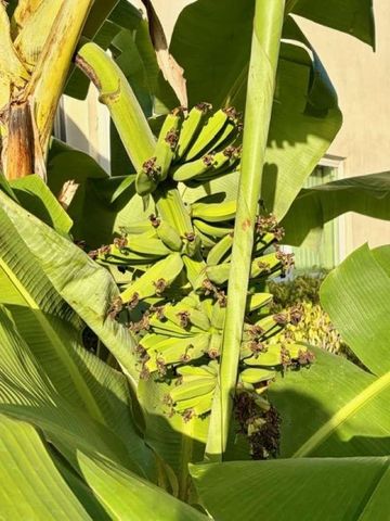 433 Durham O 433, Deerfield Beach, FL 33442