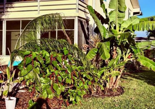 433 Durham O 433, Deerfield Beach, FL 33442