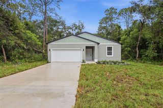 25115 QUAKER RIDGE AVENUE, Mount Plymouth, FL 32776