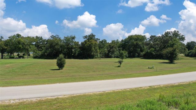 10289 Henley Cove, Iola, TX 77861