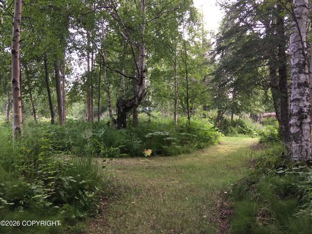 3250 N Diana Avenue, Palmer, AK 99645