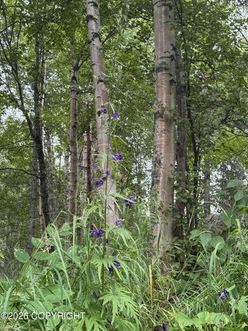 3250 N Diana Avenue, Palmer, AK 99645