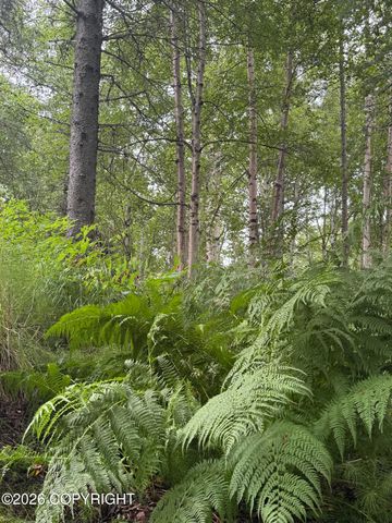 3250 N Diana Avenue, Palmer, AK 99645