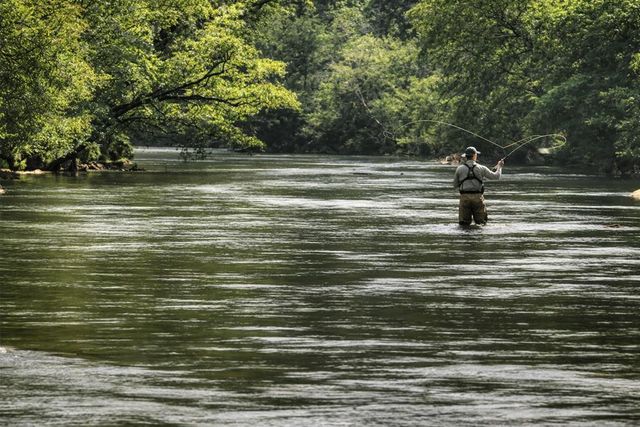 Lot 1 Riverview Lane, Blue Ridge, GA 30513