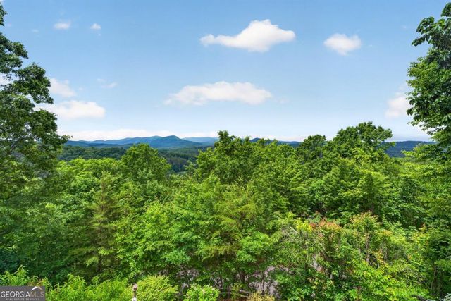 40 Foxfire Lane 6, Blue Ridge, GA 30513