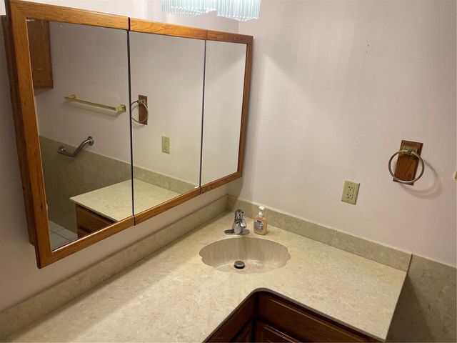 20971 NEGRIL COURT, Lutz, FL 33558