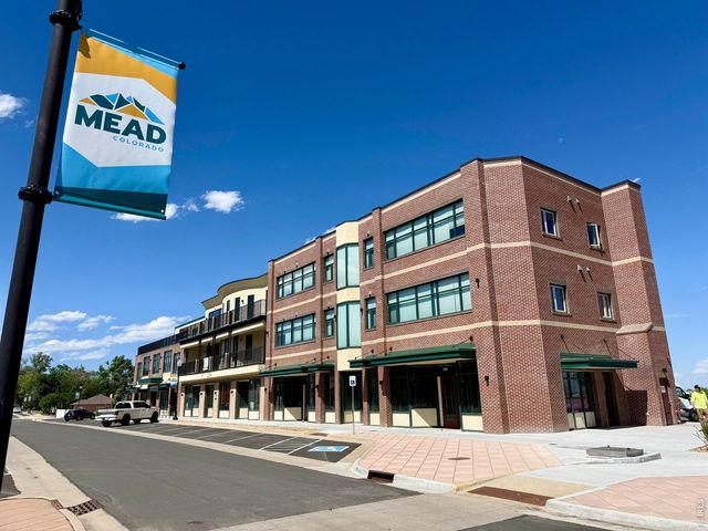 425 Dillingham Ave, Mead, CO 80542