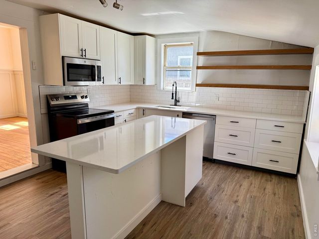 425 Dillingham Ave, Mead, CO 80542