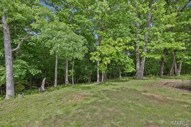 2135 Birchwood Drive, Barnhart, MO 63012