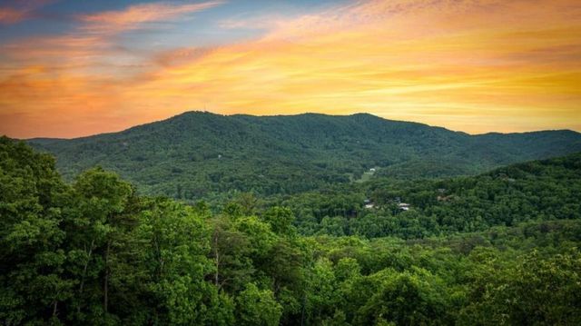 58 Overlook Way, Blue Ridge, GA 30513