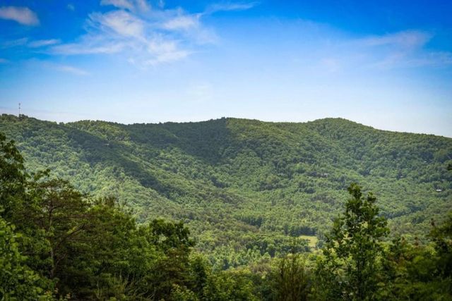 58 Overlook Way, Blue Ridge, GA 30513